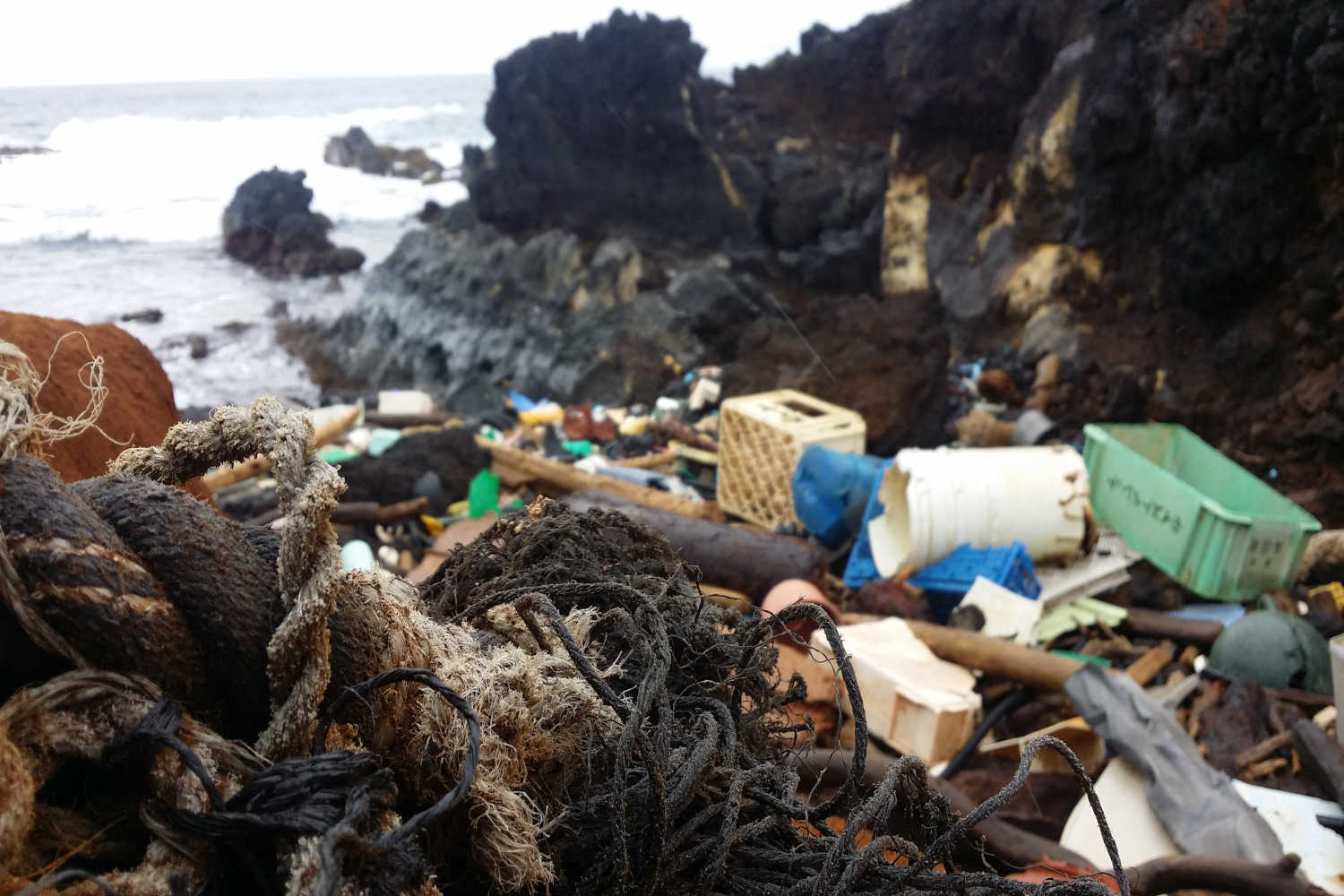 Hawaii ist doch nur eine Plastiktüte